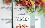 تفسیر فال ابجد 17 اردیبهشت + فیلم